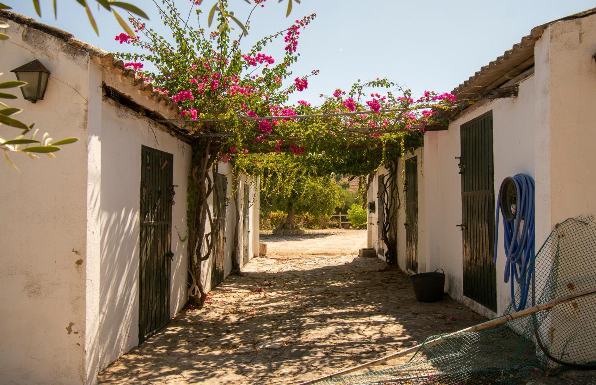 Casa Rural El Carmen Prado Del Rey Exterior foto